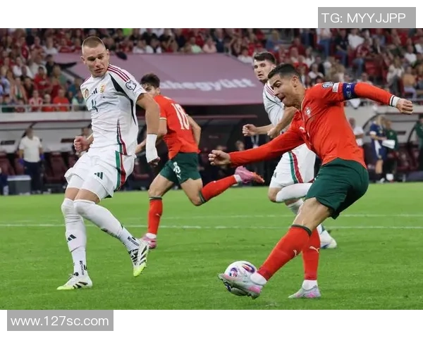 探索业务球足球的魅力与发展潜力助力体育产业新机遇